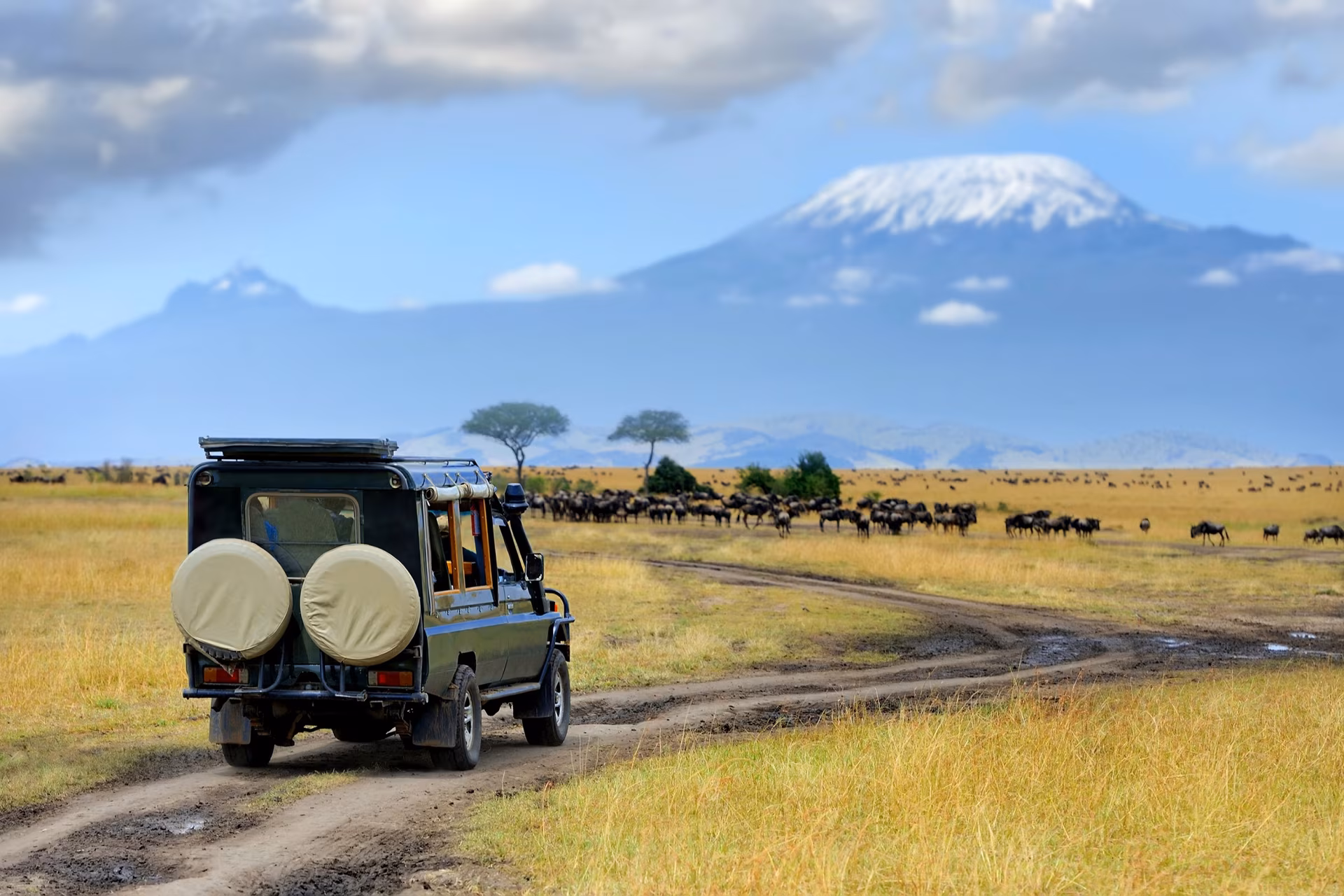 Safaris im Lodge